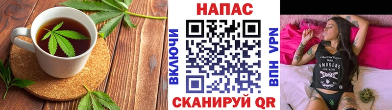 Cannafood конопля  omg рабочий сайт  Новоалександровск  купить наркотики цена 