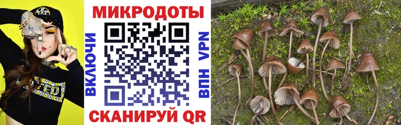 Псилоцибиновые грибы ЛСД Новоалександровск