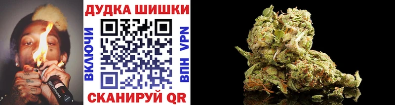дарк нет телеграм  Новоалександровск  Шишки марихуана сатива 